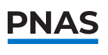 pnas