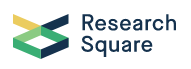 researchsquare